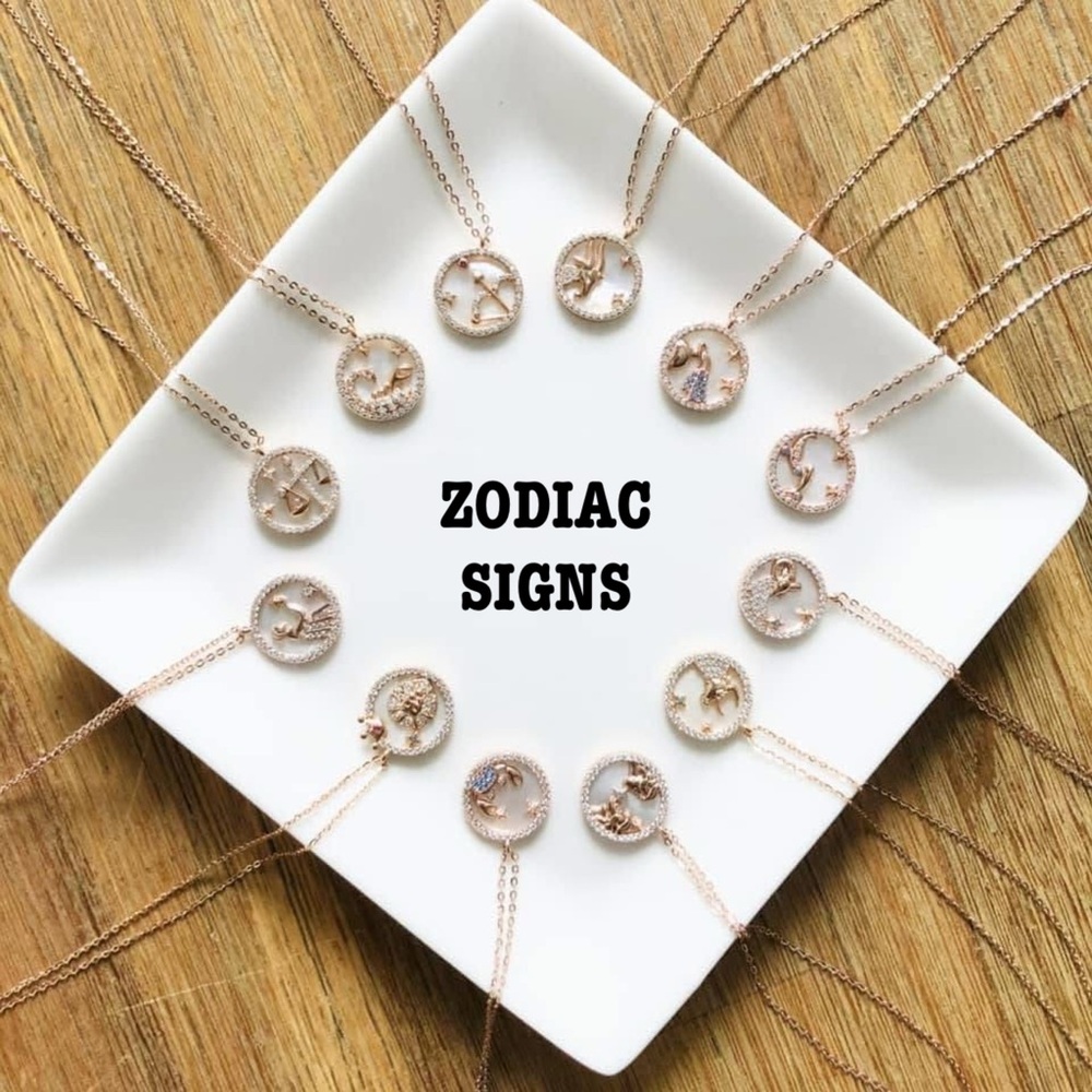 S925 Rose Gold Dainty Astrology Zodiac Round Pendant Necklace